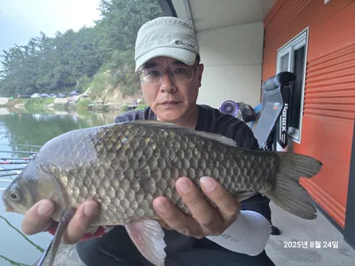 용담대물낚시터 