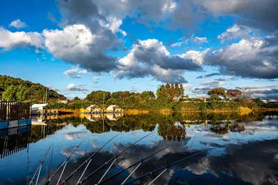 안성 두메낚시터 10월 24일 조황정보