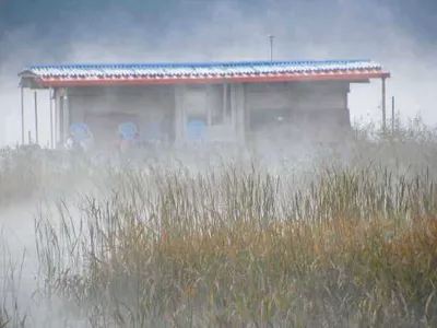 자갈섬낚시터조황