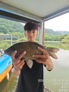 화곡낚시터 조황정보