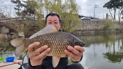 아산 명품 월랑낚시터  3월 마지막주 조황화보입니다...^^