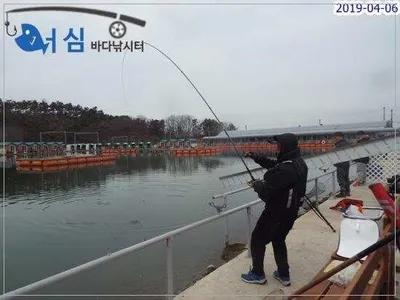 4월6일 어심바다낚시터조황