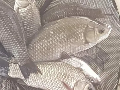 아름다운장계지에서