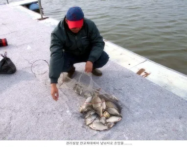 최고의 조황을 보이는 신봉지입니다....