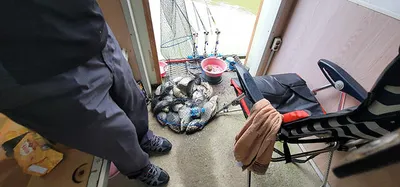 가깝고 물좋고 경치 좋은곳~~!!-용인삼인낚시터-