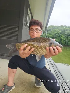 화곡낚시터 조황정보