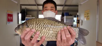 고삼지 최고의 포인트 독점! 사짜조황!