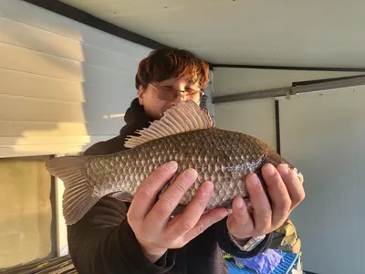 용담대물낚시터 개장 및 덩어리 출몰소식!!