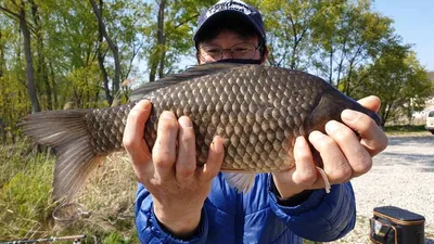 아산 명품 월랑낚시터 4월 마지막 조황 이야기입니다..^^