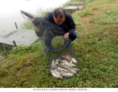 토종붕어 방류와 조황입니다....