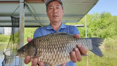 아산 명품 월랑낚시터 5월 세번째 조황이야기입니다...^^
