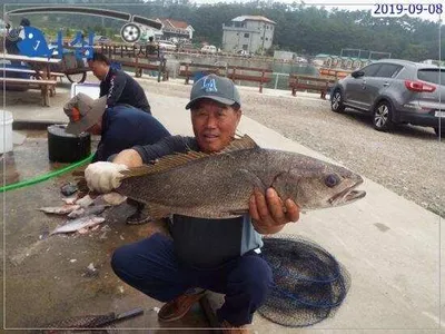 9월8일 어심바다낚시터조황 