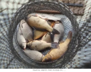 3월 첮주말 방류와함께....