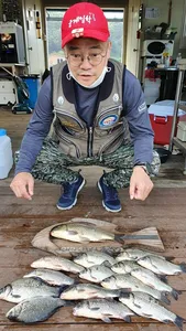 고삼지 여름나기 조황입니다