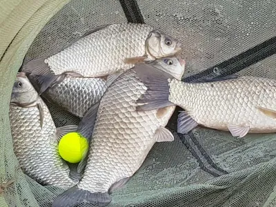 아름다운장계지에서