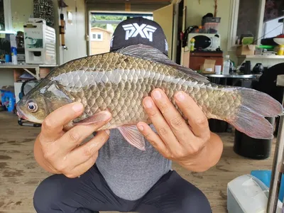 고삼지 핫플레이스 양촌좌대입니다.