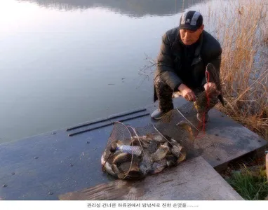 지금이 기회입니다....