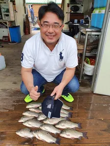 고삼지 때고기 조황입니다.