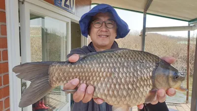 독보적인 사짜붕어 방출!! 고삼지 상류권 포인트!!