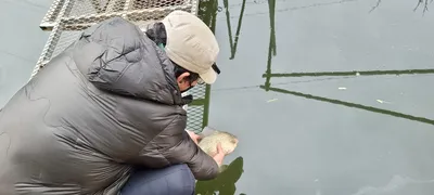 고삼지 덩어리의 진한 손맛!!