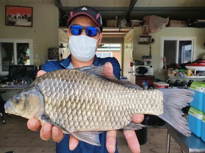 고삼지 반가운 비소식에 마리수 조황
