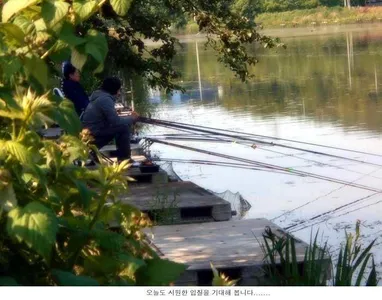 오늘은 시원한 입질을 해주시려나...