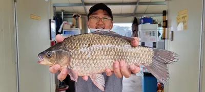 고삼지 상류권 여전히 핫한 사짜조황!!