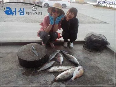 5월23일어심바다낚시터조황