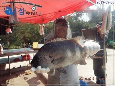  9월30일 어심바다낚시터조황 