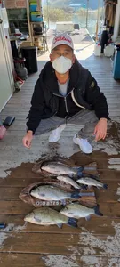 고삼지 상류권 쌍사짜 조황입니다.