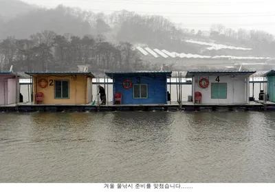 오늘은 신봉지에 눈이 내리고.....