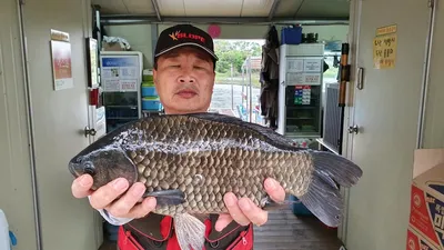 고삼지 시즌 110번째 사짜붕어 기록중!!