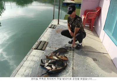 신봉지 8월 마지막 주말입니다...