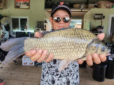 태풍은 북상 고삼지는 덩어리 북상