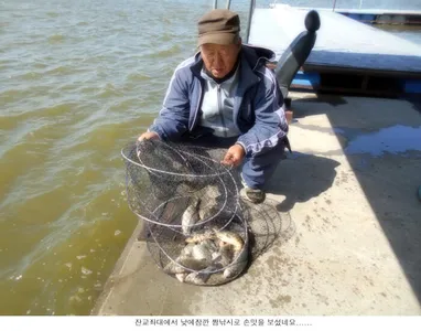 정상적인 조황으로가고 있습니다...