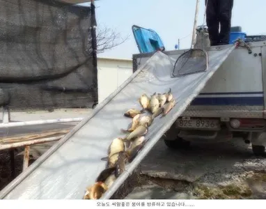 점점  좋아지고 있습니다....