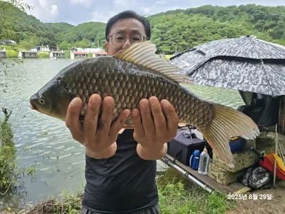 용담대물낚시터 