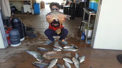 고삼지 수위 변화에 사짜조황!!