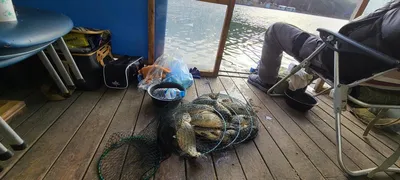 셋째주 양평 수곡낚시터 주초 조황 소식입니다