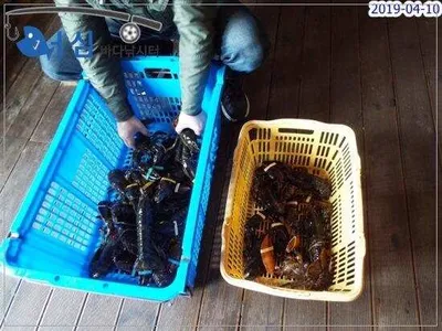   4월10일 어심바다낚시터조황 