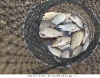 10월도 마지막 이네요....