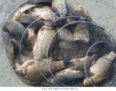 빈곤속에도 풍요가 있습니다....