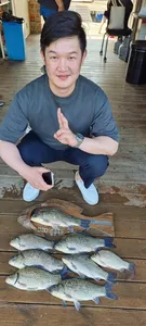 고삼지 양촌좌대 포인트 마리수 시작!