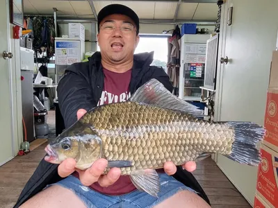 가을을 맞이하는 고삼지 조황입니다.