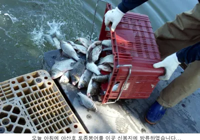 방류한것 만큼만 나와주길.....