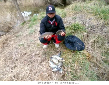 꾸준하게 붕어를 방류합니다....