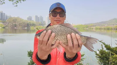 아산 명품 월랑낚시터 4월 여섯번째 조황 이야기입니다...^^