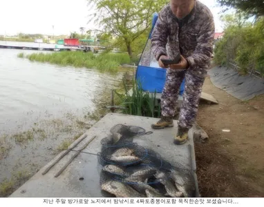 4월 마지막날 조황이네요....