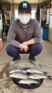 안정화된 수위에 마리수 조황입니다.