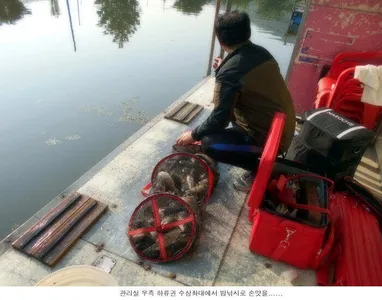 5월 마지막날 신봉지입니다....